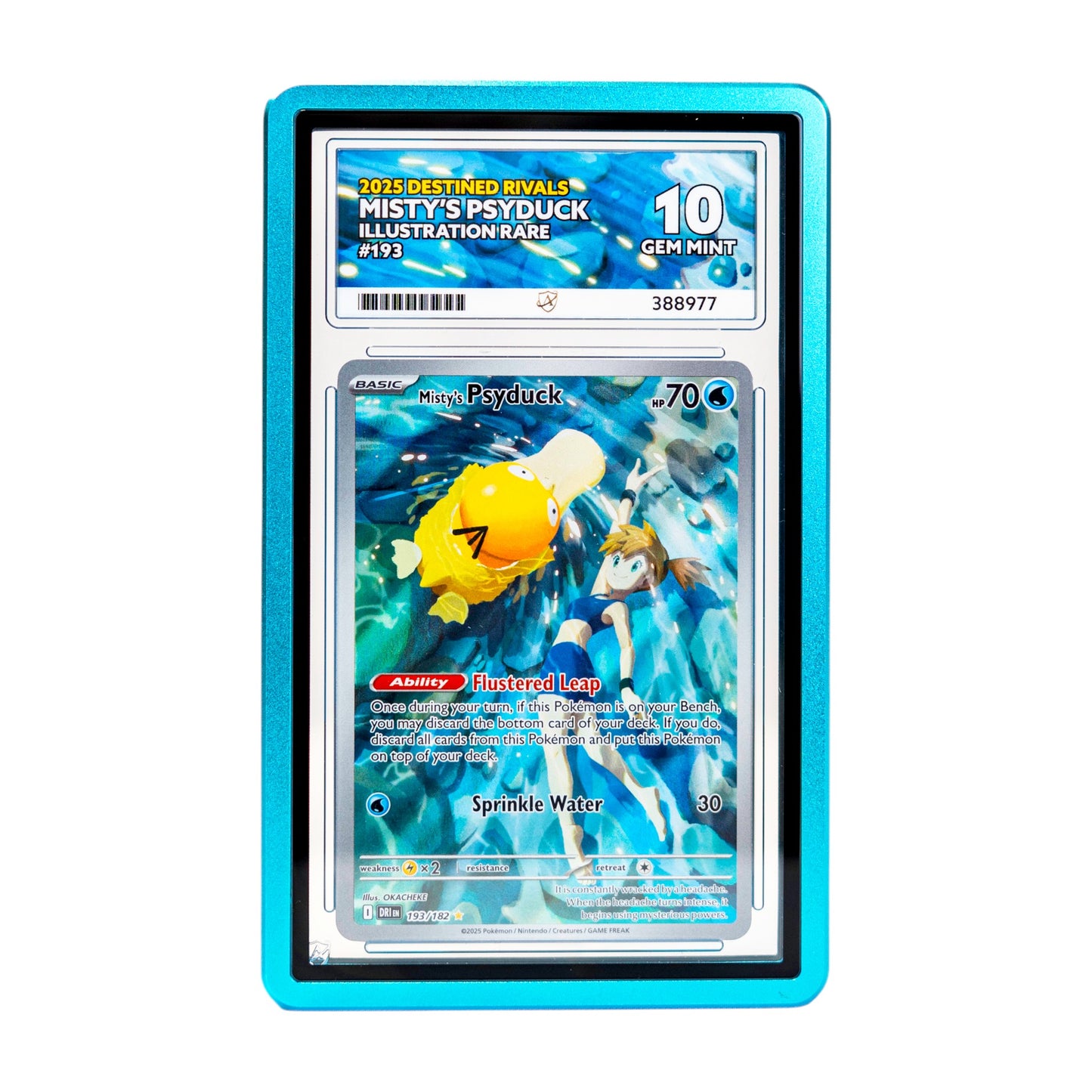 Premium light blue graded card case for ACE grading