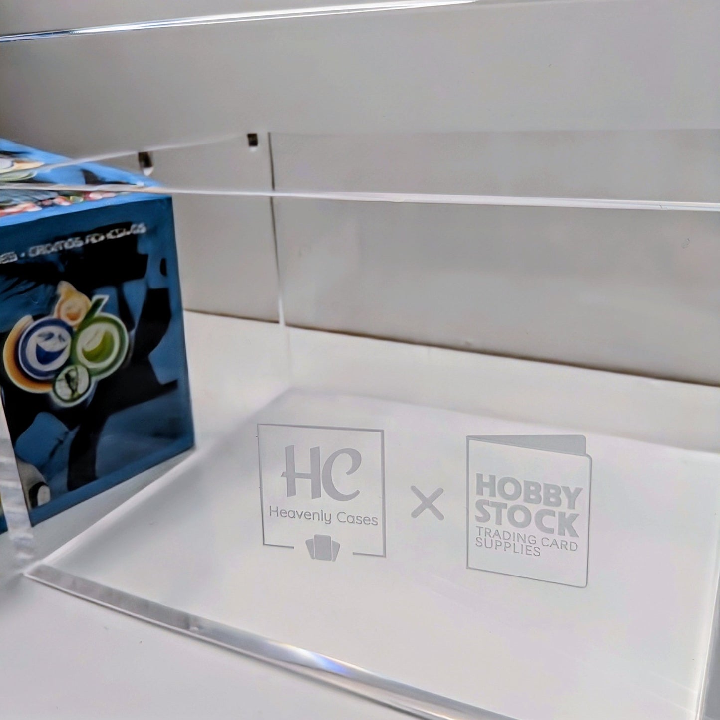 Panini Sticker Box Premium Acrylic Display Case #1 (1998-2012)